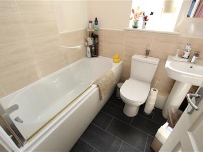 Picture 15